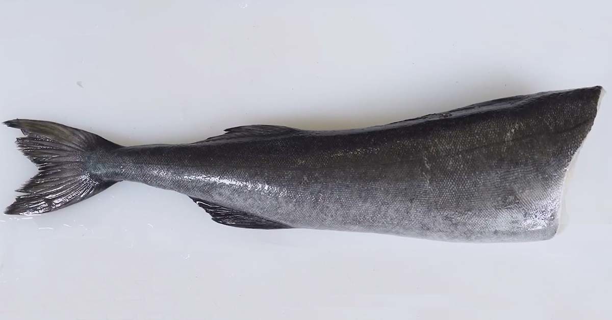 은대구  / '입질의추억TV' 유튜브