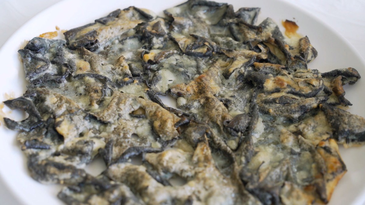 EBS1 '한국기행' 미리보기 페이지에서 제공하는 '지리산 보물 사냥꾼' 편 자료 사진. / EBS1 제공