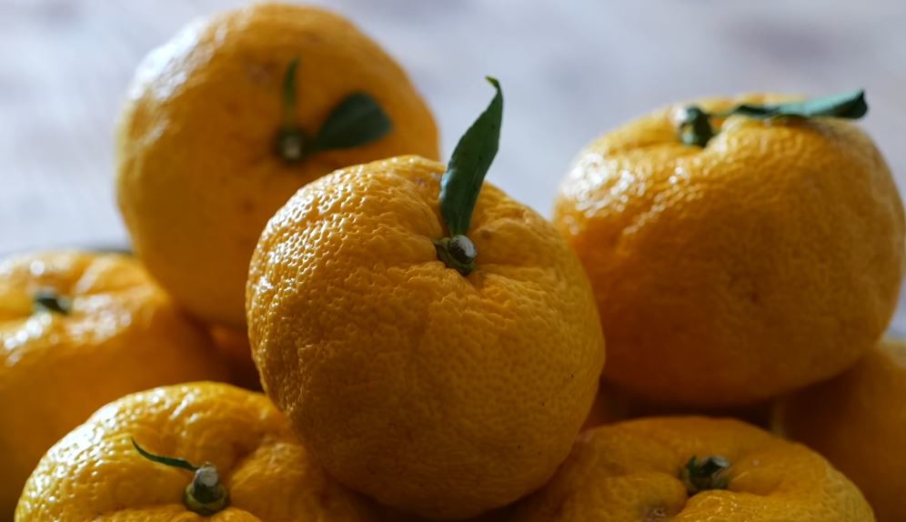 유튜브 'Mrs macarons마카롱여사'