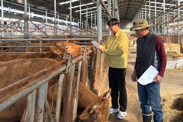 순창군 동절기 축산분야 재해 대비 현장점검 / 순창군