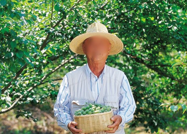 기사의 이해를 돕기 위한 사진 / Stock for you-shutterstock.com