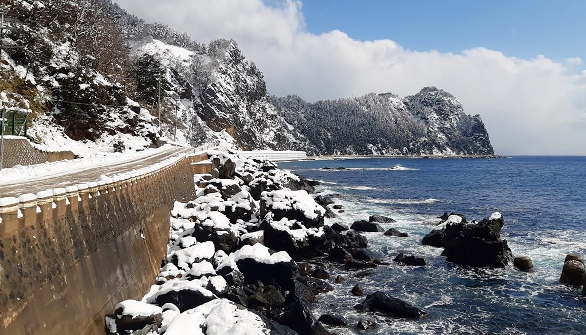 눈 내린 울릉도 바닷가 모습. 기사 이해를 돕기 위한 자료 사진. 최근 울릉도서 1m급 대물급 무늬오징어가 잡혀 화제가 되고 있다. / 뉴스1