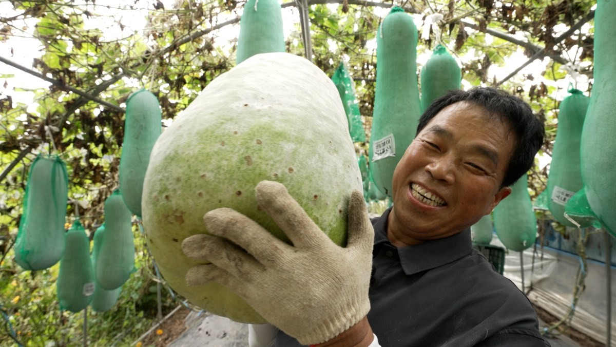 EBS1 '한국기행' 미리보기 페이지에서 제공하는 '가을 부자' 편 자료 사진. / EBS1 제공