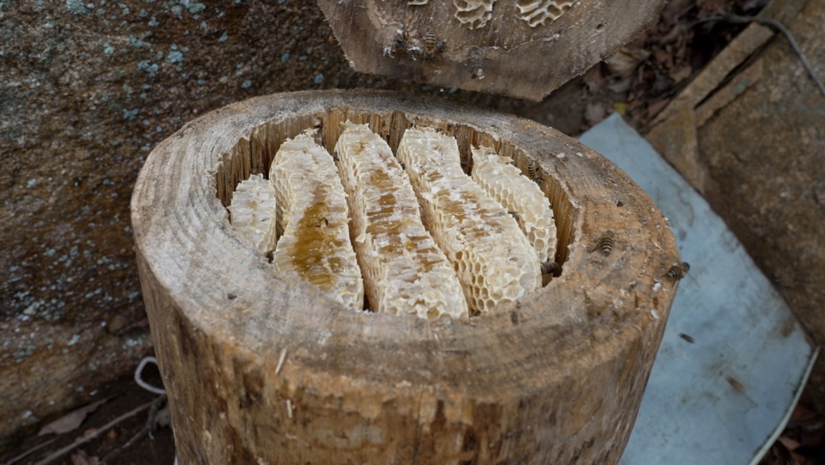 EBS1 '한국기행' 미리보기 페이지에서 제공하는 '가을 부자' 편 자료 사진. / EBS1 제공