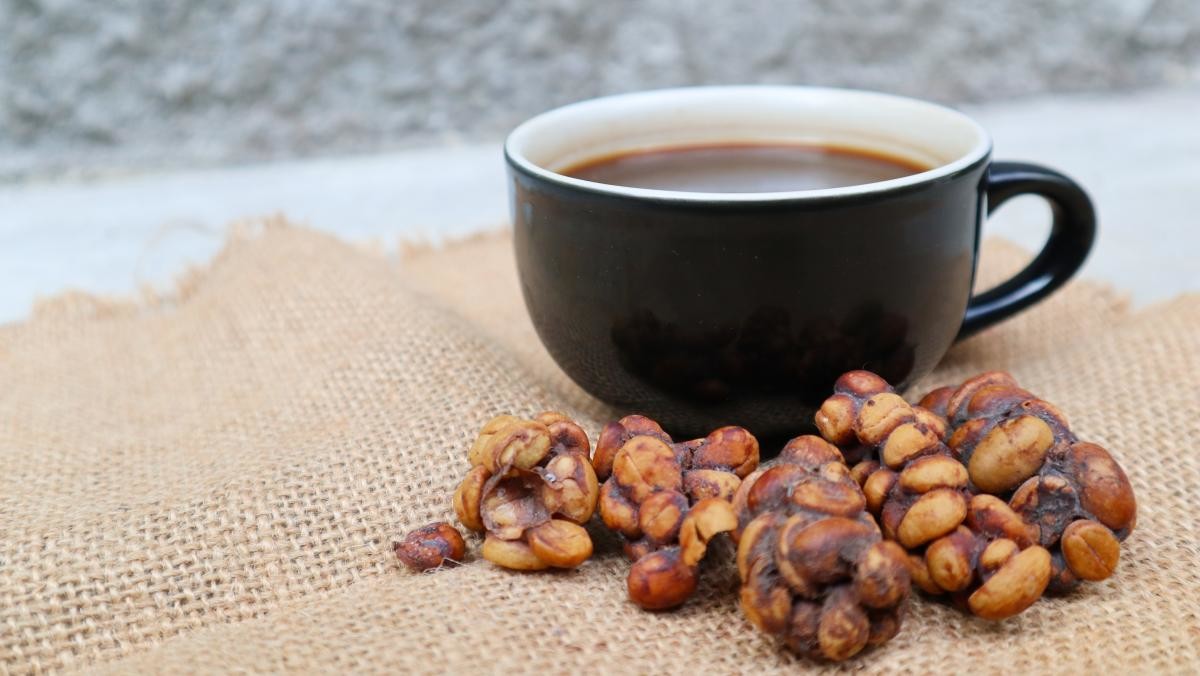 내용 이해를 돕기 위한 사진.  / Faiz Dila-shutterstock.com