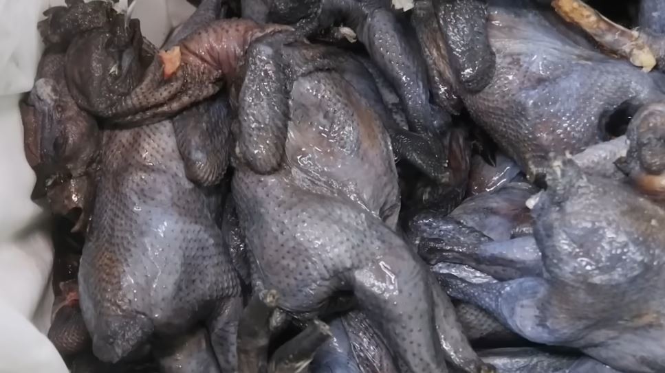 유튜브    'EBSDocumentary (EBS 다큐)'