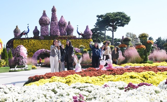 29일 오전 전남 함평군 함평엑스포 공원에서 열리고 있는 ‘2025 대한민국 국향대전’을 찾은 관람객들이 형형색색 국화꽃을 감상하며 깊어가는 가을의 정취를 즐기고 있다.  / 노해섭 기자