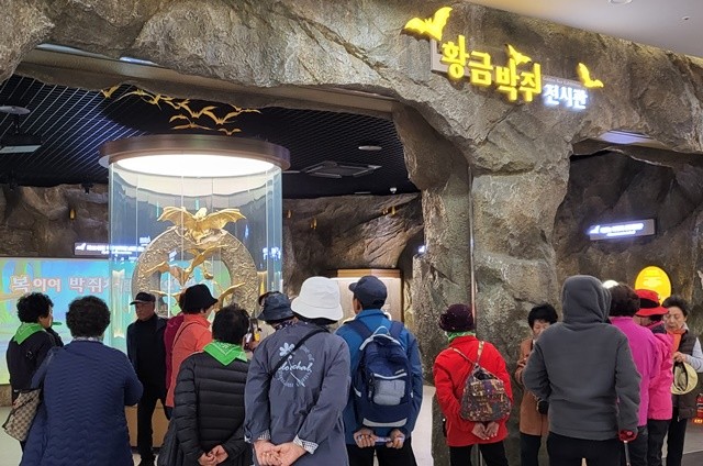 황금박쥐전시관