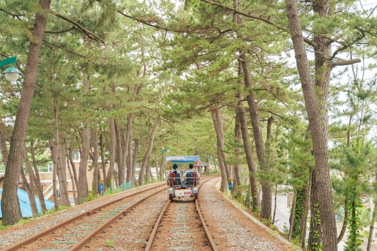삼척해상레일바이크 / 삼척시 제공