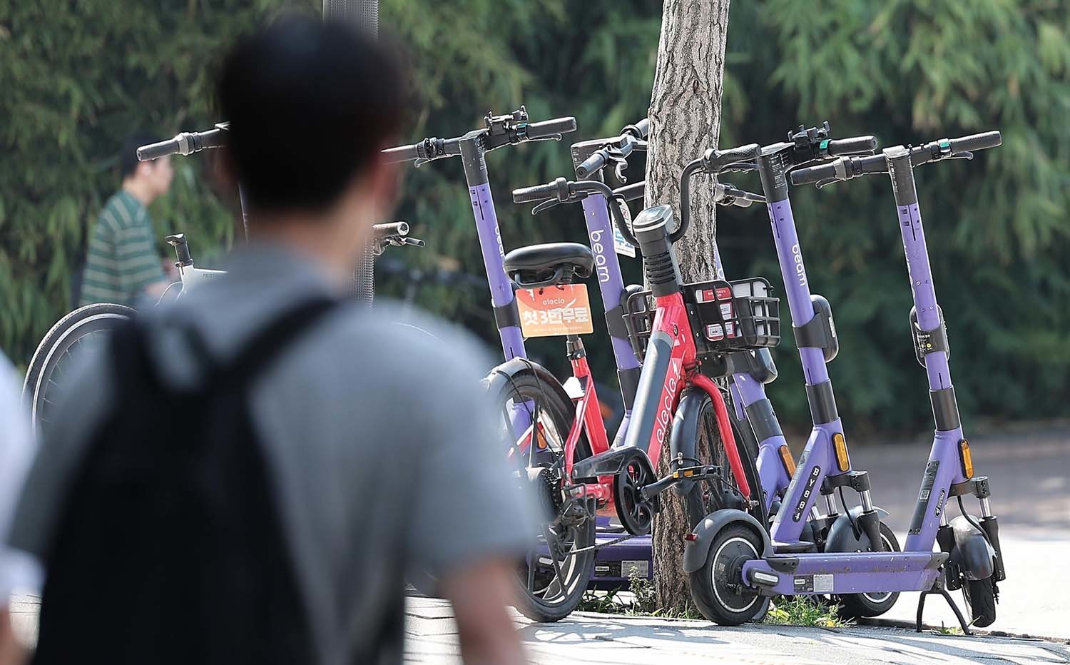 전동킥보드 자료 사진/ 뉴스1