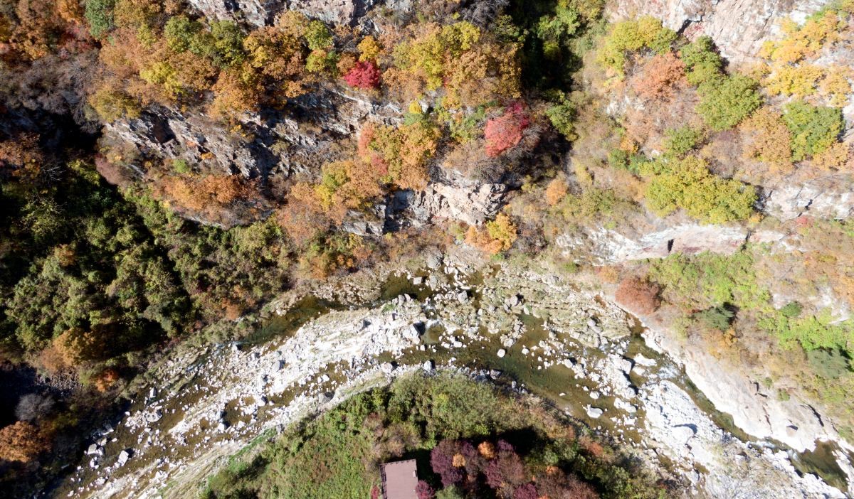 강원도 정선군 화암면 소금강 계곡이 단풍과 어우러진 모습.  / 뉴스1