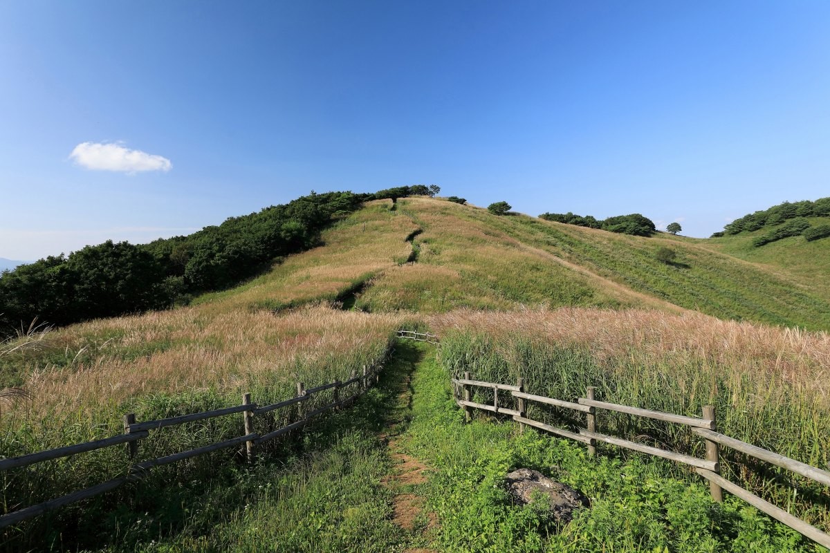 민둥산. / Stock for you-shutterstock.com