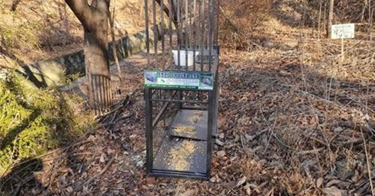 멧돼지 포획틀 / 서울시 제공, 연합뉴스