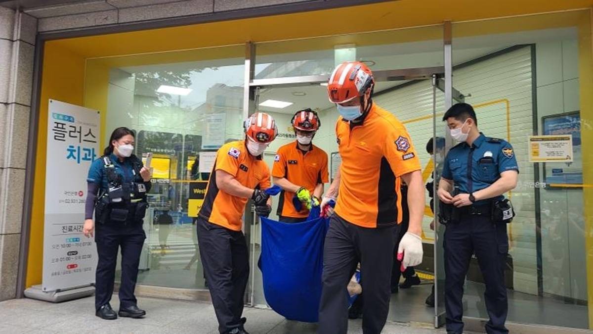 멧돼지를 포획한 모습 / 서울시 소방재난본부 제공, 연합뉴스