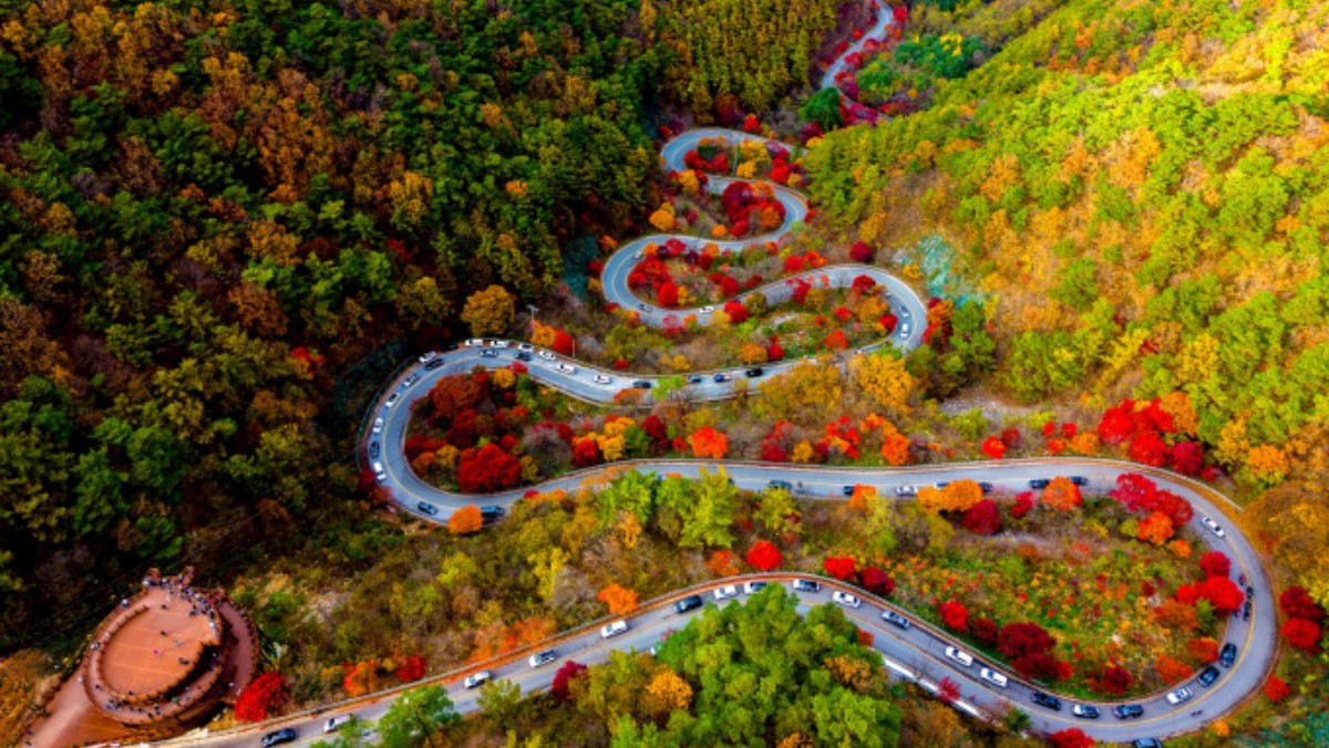 단양 보발재 단풍 / 단양군 제공