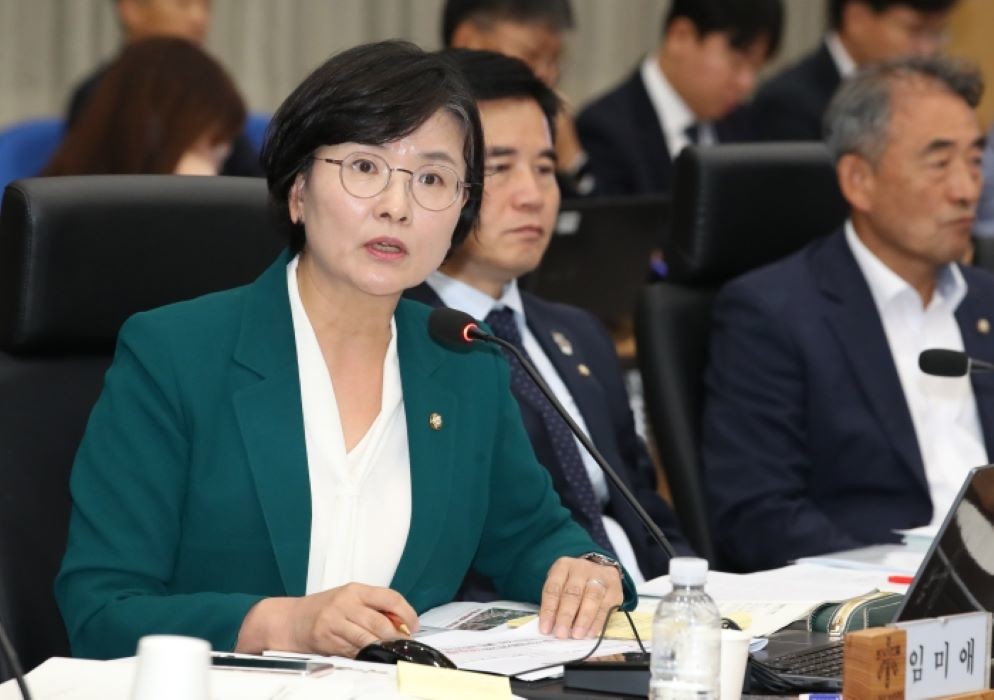 임미애 더불어민주당 의원 / 뉴스1