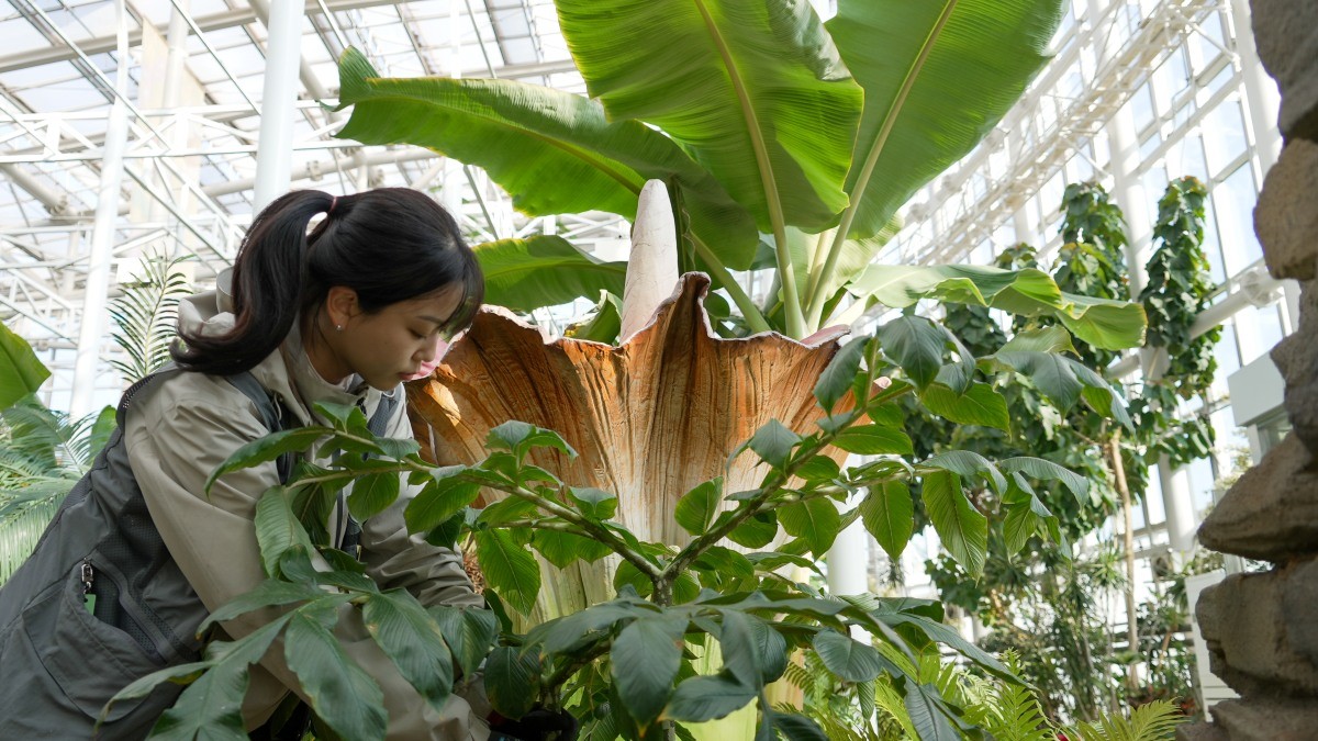 타이탄아룸 설치 모습 / 한국수목원정원관리원