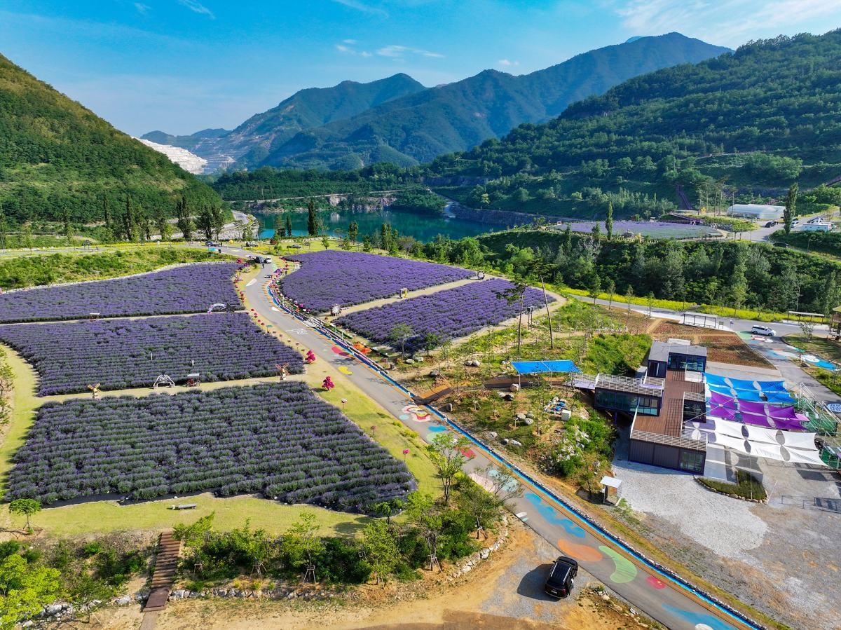 무릉별유천지 자료 사진 / 동해시 제공