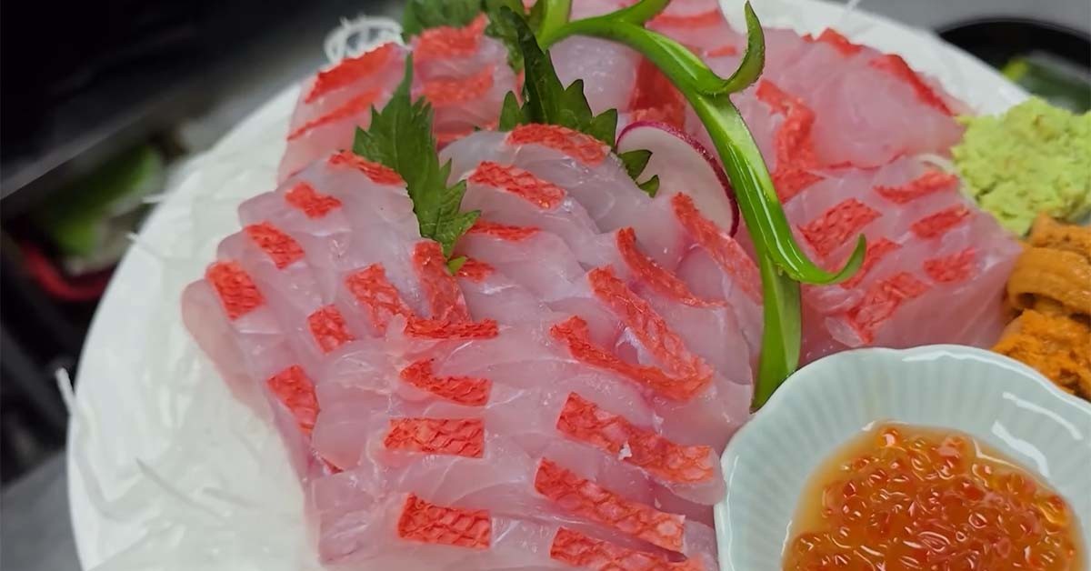 빛금눈돔 회 / '생선장수 박장군' 유튜