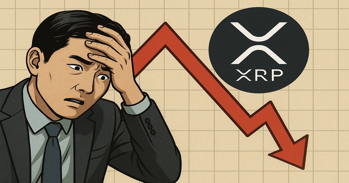 기사 내용을 바탕으로 한 참고 이미지