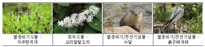 금정산 야생 생물 자료사진. / 부산시 제공