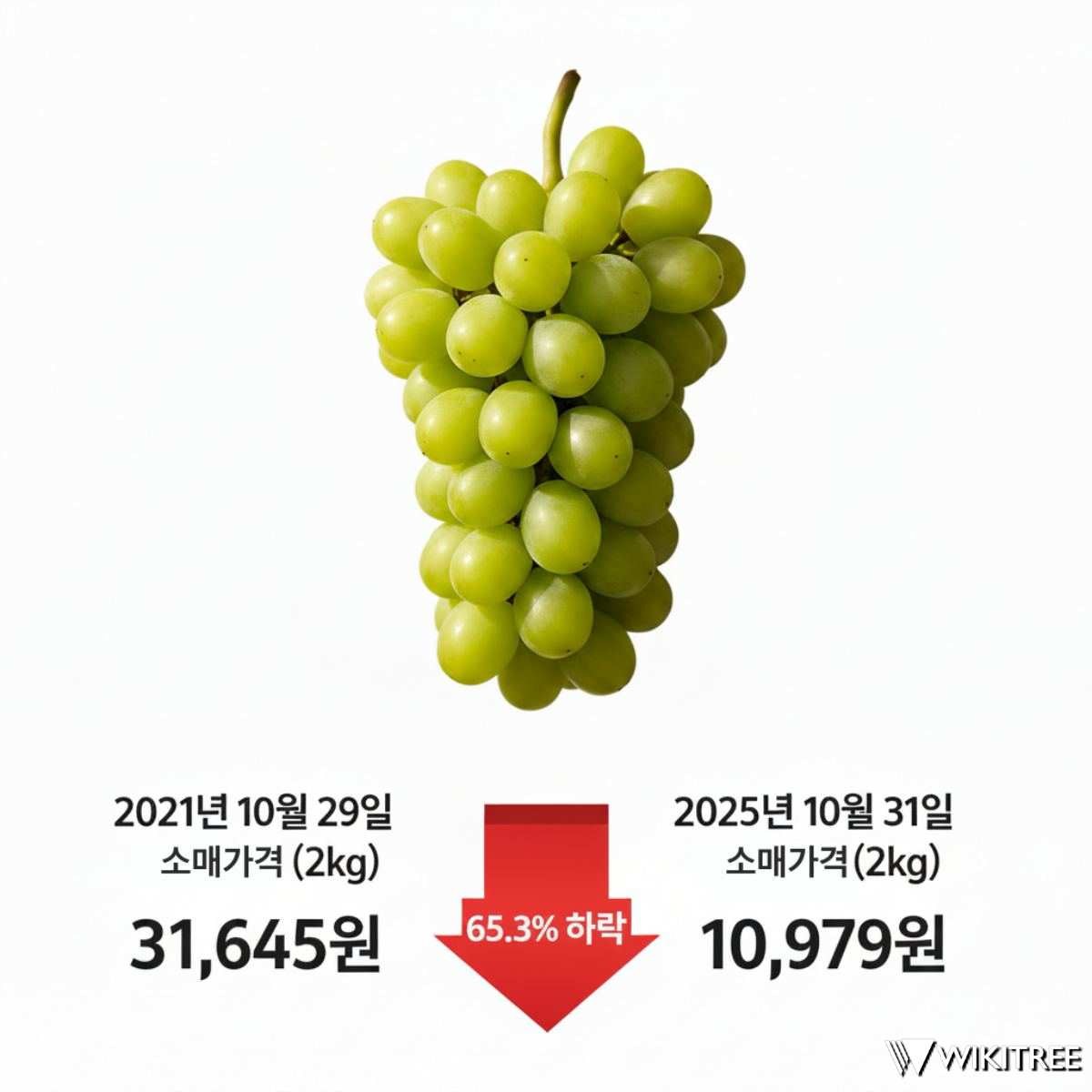 5년 새 샤인머스캣 가격이 약 3분의 1로 폭락했다.  / 위키트리