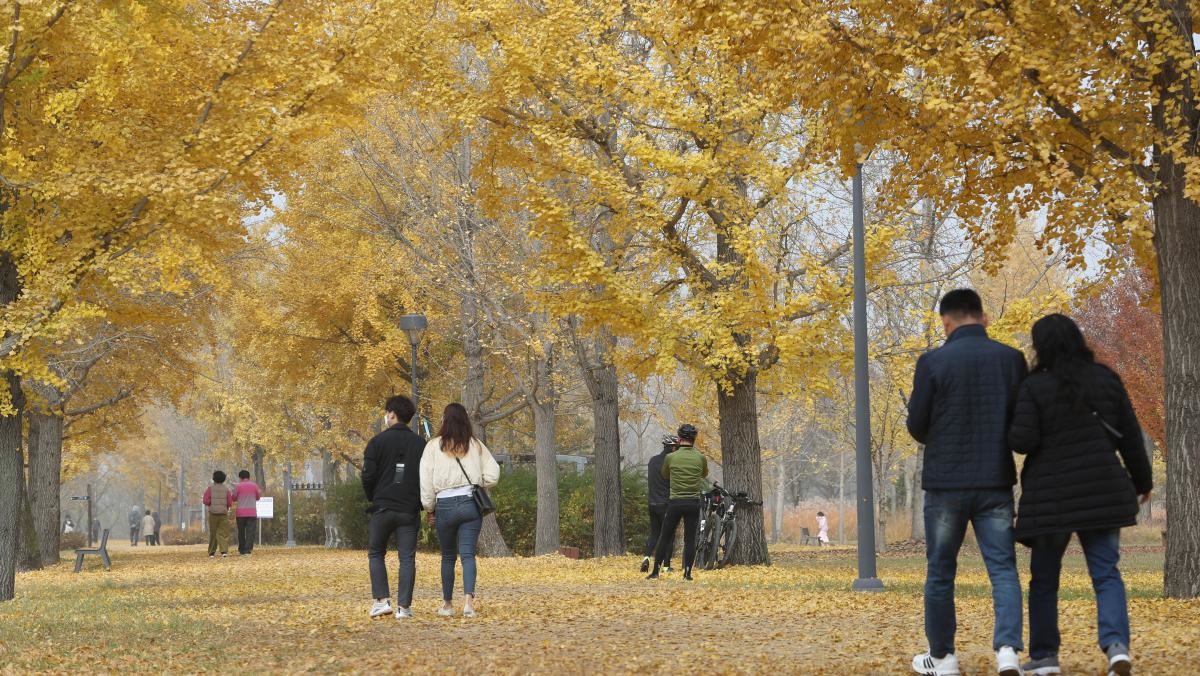 경기 여주시 강천섬. / 뉴스1