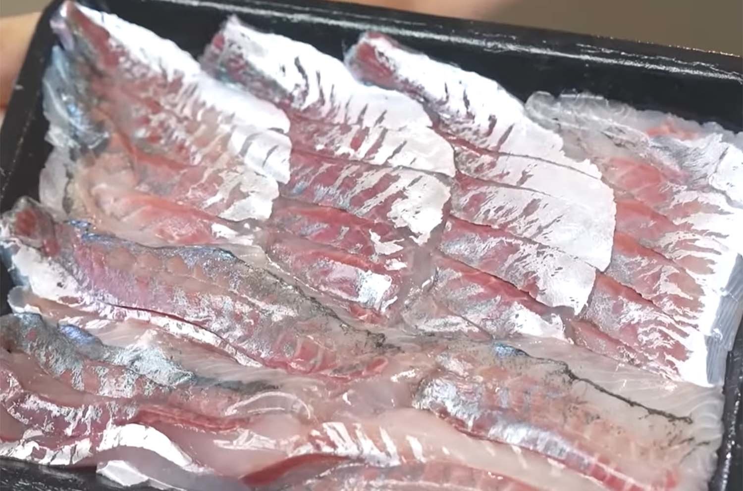 전갱이 회 / '입질의추억TV' 유튜브