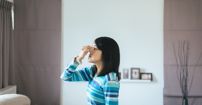 기사의 이해를 돕기 위한 사진 / GBALLGIGGSPHOTO-shutterstock.com