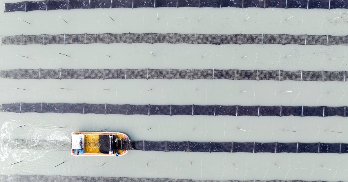 일본 말 '노리'로 불렸는데...세계가 주목하고 있는 '한국 식재료' - 뉴스 썸네일 이미지