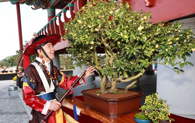 김철우 군수가 제3회 대한민국 차나무분재대전 수상작을 감상하고 있다