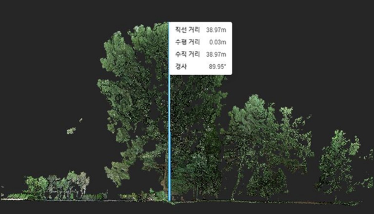 노블포플러의 라이다 분석 결과 / 산림청 국립산림과학원 제공