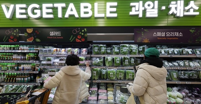 기사의 이해를 돕기 위한 사진 / 뉴스1