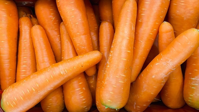 당근 / saweang.w-shutterstock.com