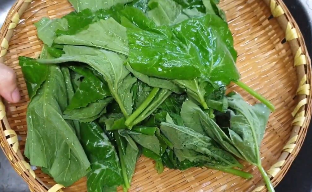 유튜브 '고향누나 자연식단'