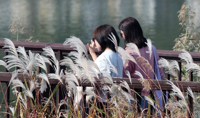 기사의 이해를 돕기 위한 사진 / 뉴스1