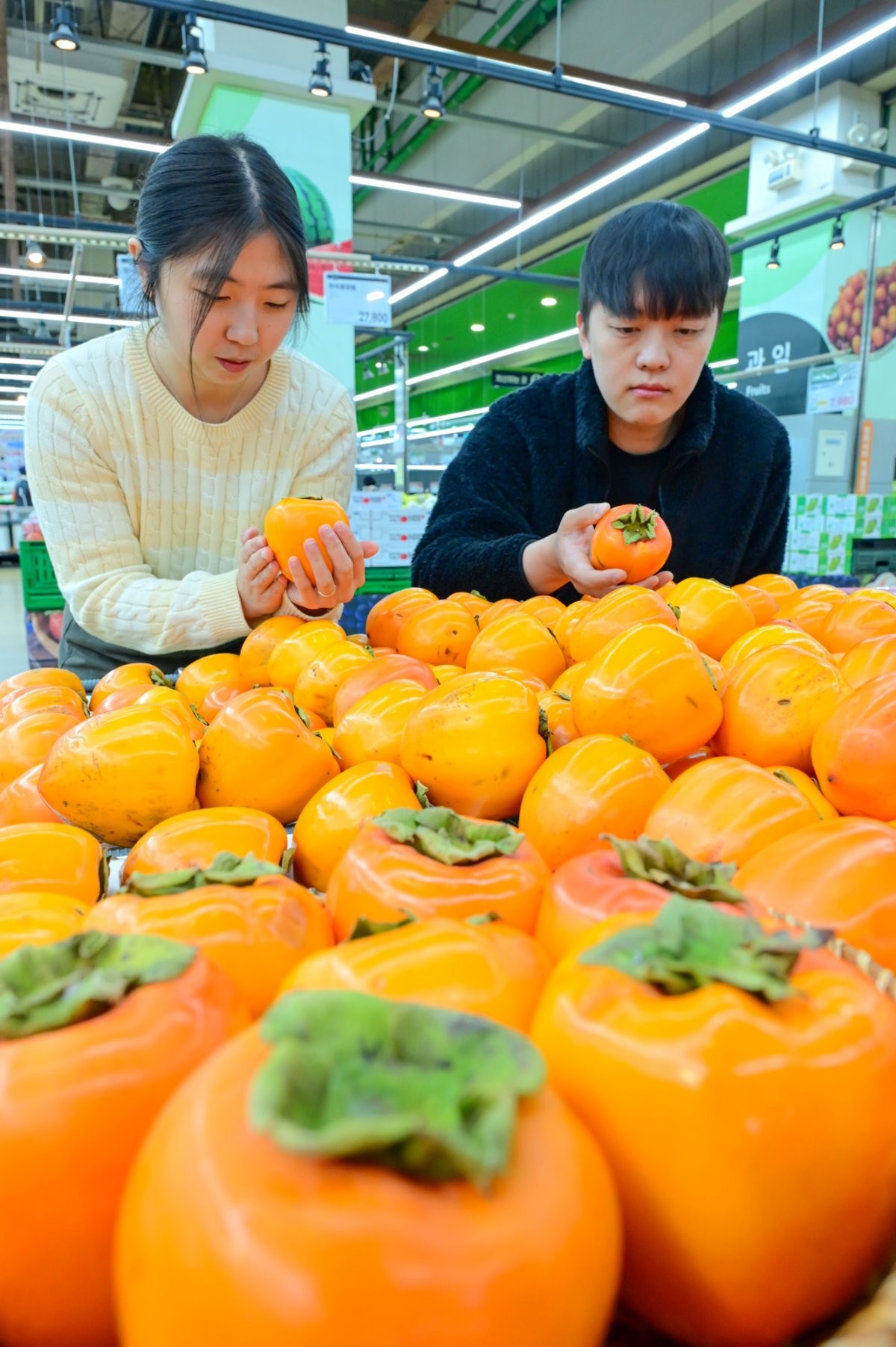 농협 하나로마트를 운영하는 농협유통 3일 단감데이를 하루 앞두고 엄청난 크기를 자랑하며 감 중의 왕이라 불리는 제철 과일인 '대봉시'를 올해 처음 판매한다고 밝혔다.  / 농협유통 제공