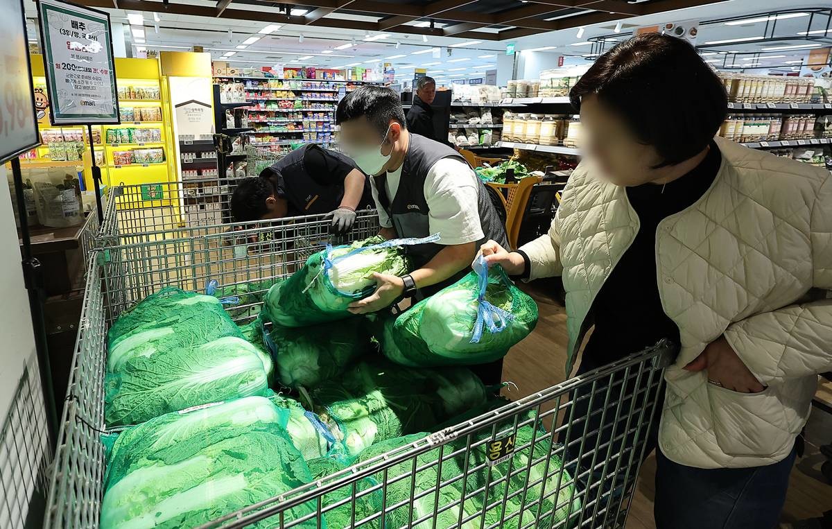 배추 고르는 시민 / 뉴스1