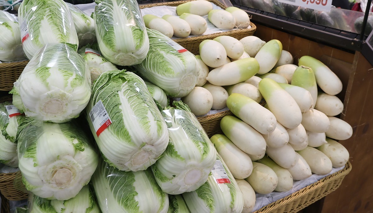 배추와 무 모습. 기사 이해를 돕기 위한 자료 사진. 배추와 무는 한국의 대표적인 겨울철 저장 음식인 김장을 만드는 데 빠질 수 없는 핵심 재료이다. 김장철을 앞두고 정부가 배추와 무 등 상당량의 김장재료를 시장에 공급하기로 했다. 농림축산식품부는 김장철을 앞두고 소비자의 부담을 줄이기 위해 배추와 무를 4만 7500톤을 공급하고 500억 원의 농수산물 할인 지원 예산을 투입한다고 4일 밝혔다. / 연합뉴스