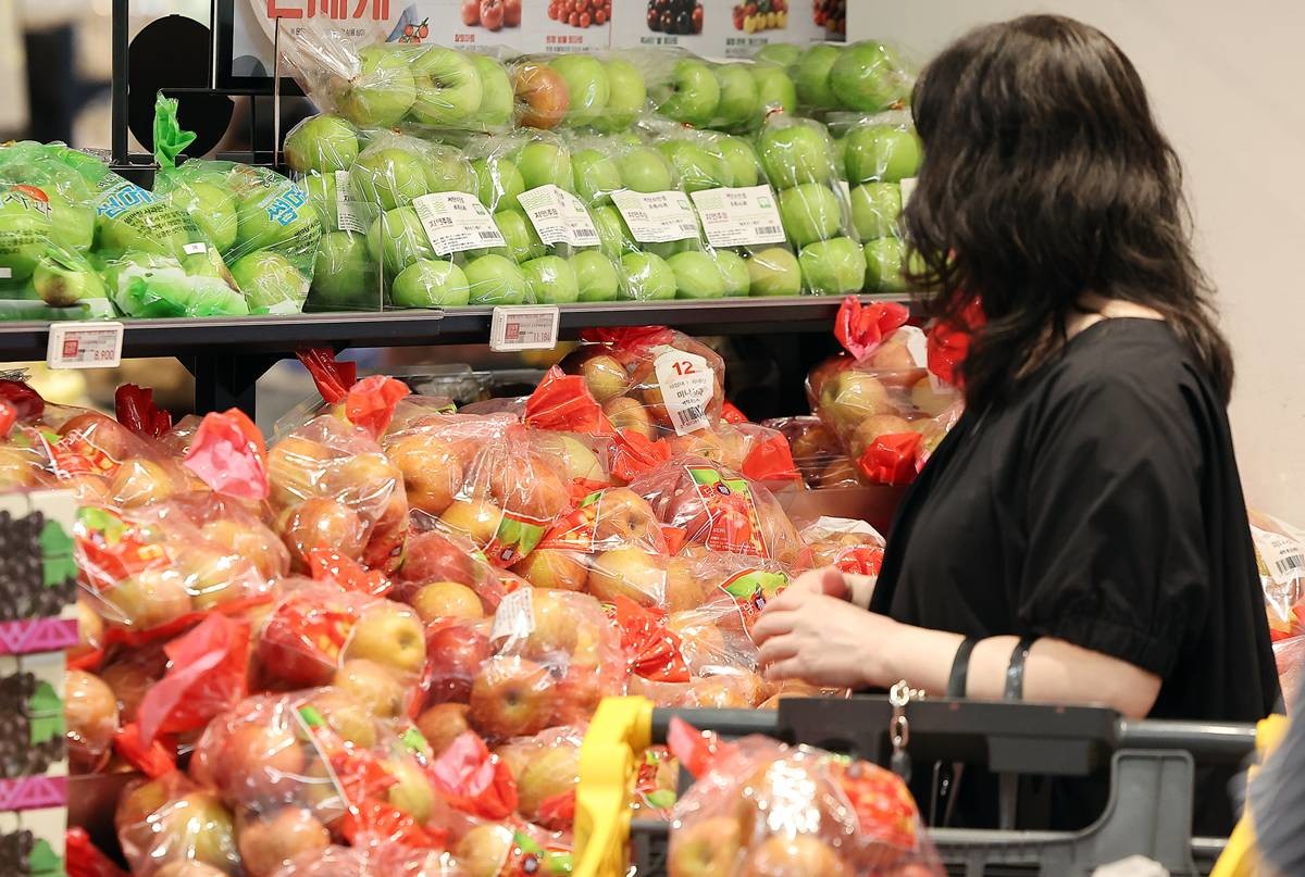 마트에 진열된 사과를 고르는 시민 / 뉴스1