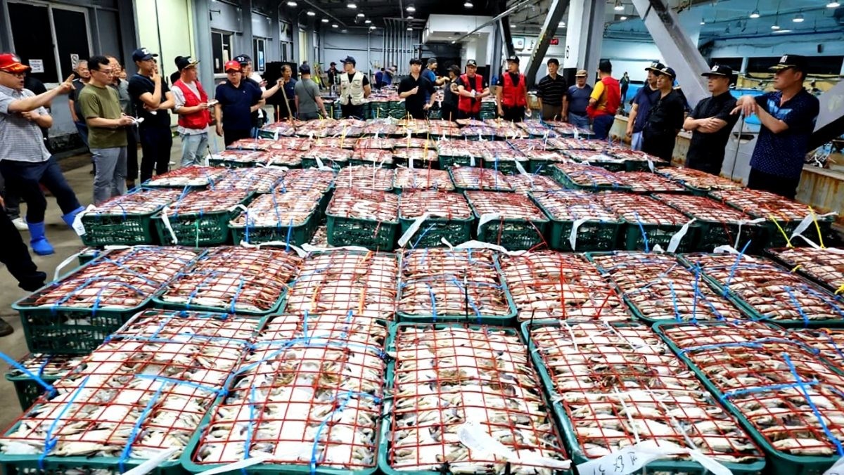 기사 내용 이해를 돕기 위해 제작한 AI 이미지