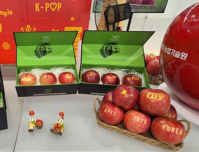 APEC 정상회의 기간 동안 공급된 감홍 문자 사과 자료사진. / 문경시
