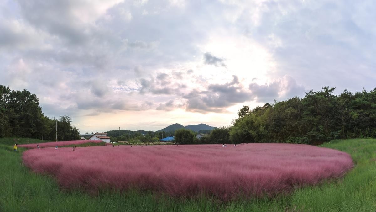 고창청농원. / Stock for you-shutterstock.com