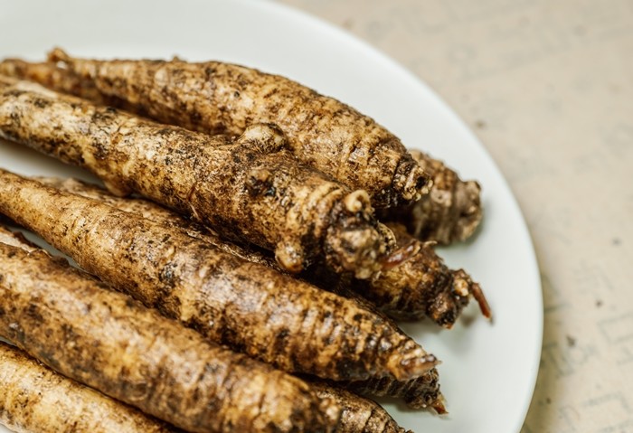 더덕 / CHALLA_81-shutterstock.com