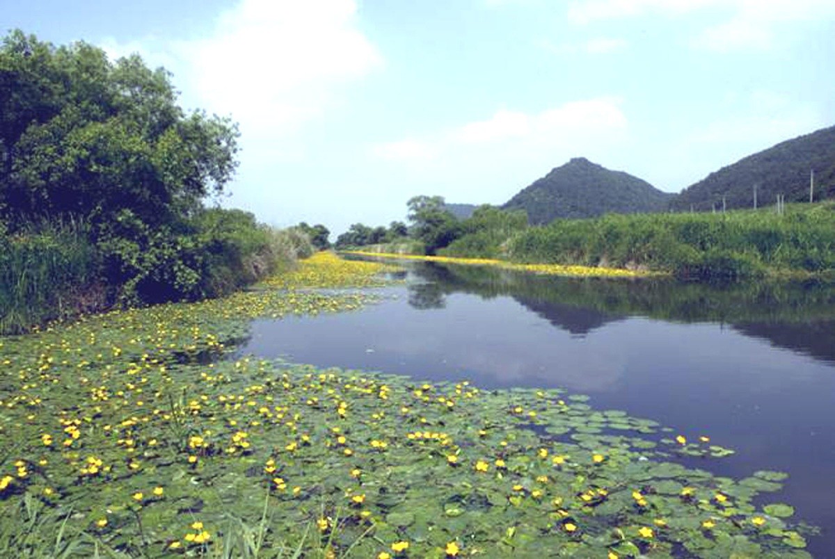 김해 화포천의 전경. / 연합뉴스