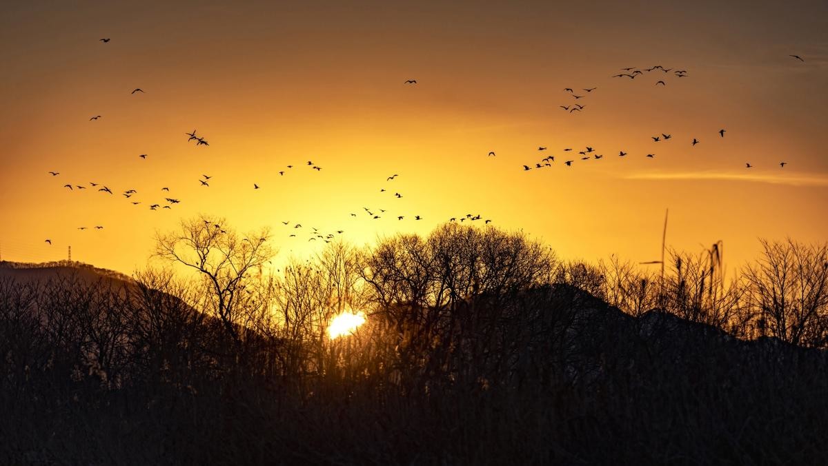 화포천. / Stock for you-shutterstock.com