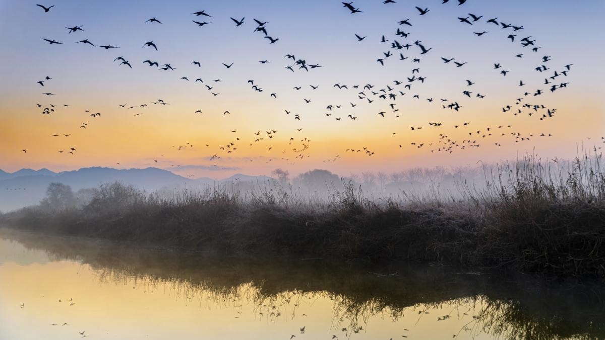 화포천. / Stock for you-shutterstock.com