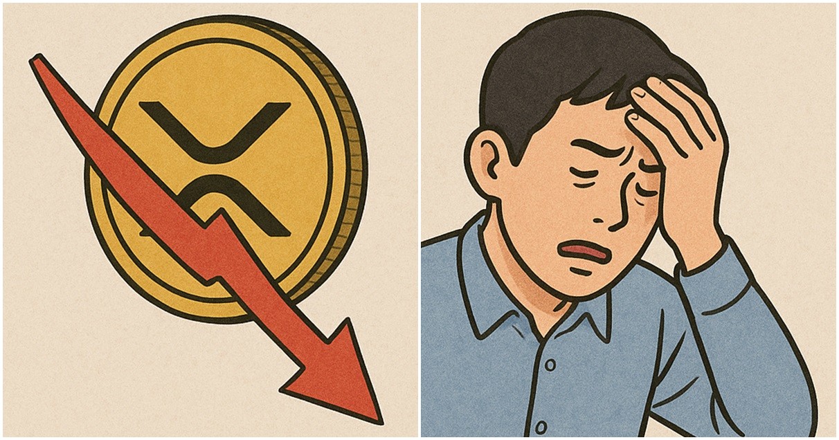 기사 내용을 바탕으로 한 참고 이미지