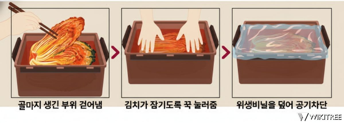김치에 골마지가 생긴다면, 해결 방법은? LG전자 설명 바탕으로 제작한 이미지. / 위키트리