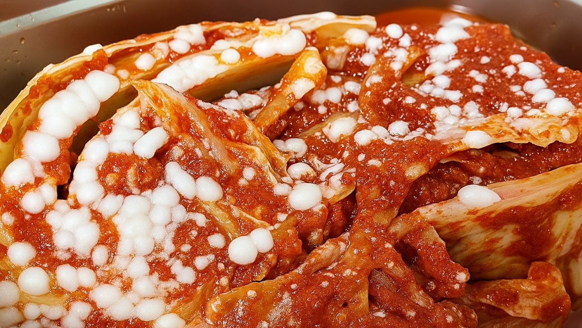 김치에 정체를 알 수 없는 하얀색 물체가?! 기사 내용을 바탕으로 AI가 생성한 자료사진.